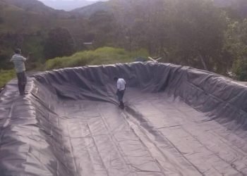 pondliner I